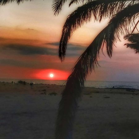 Appartamento Pax Et Bonum Parque Holandes Esterno foto
