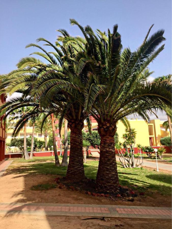 Appartamento Pax Et Bonum Parque Holandes Esterno foto